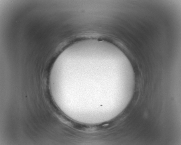 X0000082690309200701261001