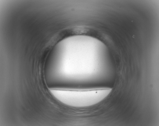 X0000082690315200701261001