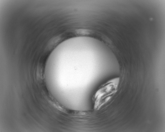 X0000082690330200701261001