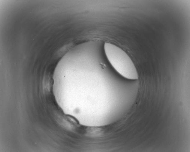 X0000082690334200701261001