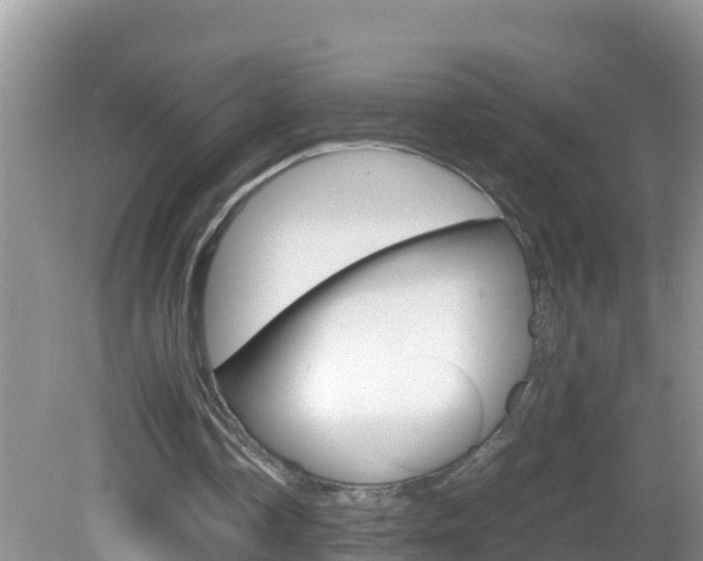 X0000082690338200701261000