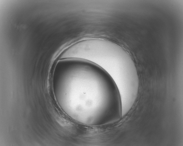 X0000082690340200701261000