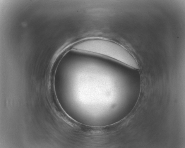X0000082690344200701261000
