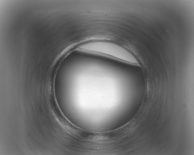 X0000082690348200701261000