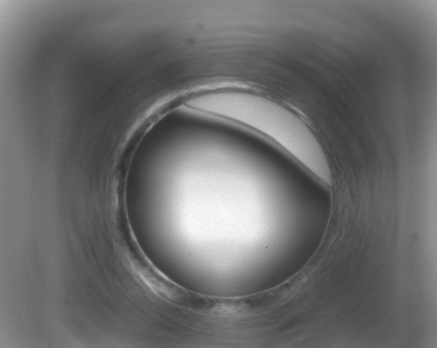 X0000082690350200701261000