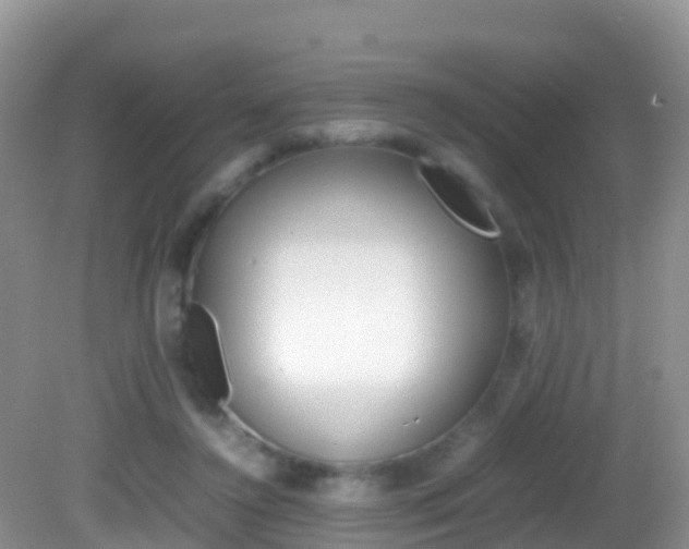 X0000082690356200701261000