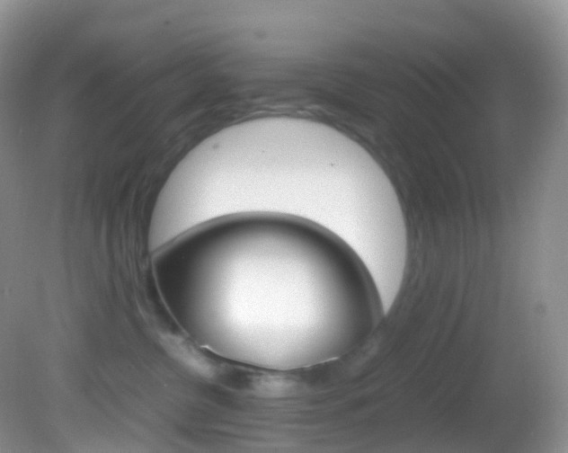 X0000082690380200701261001