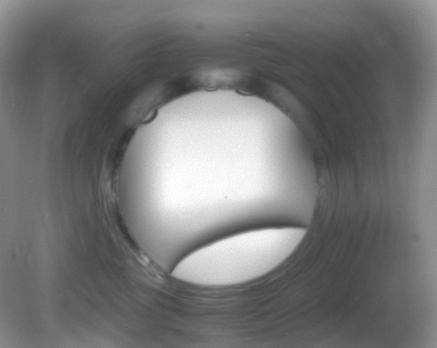 X0000082690381200701261001