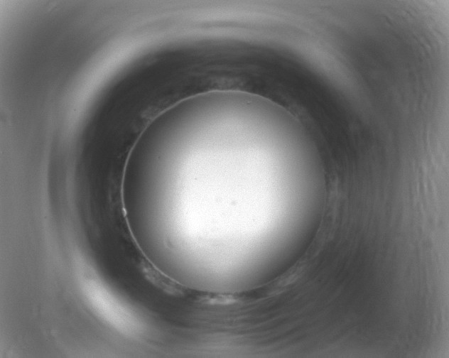 X0000082690383200701261001