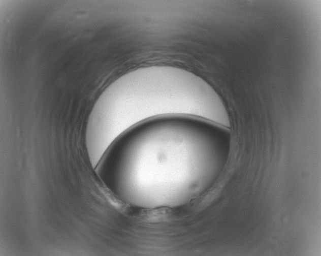 X0000082690384200701261001