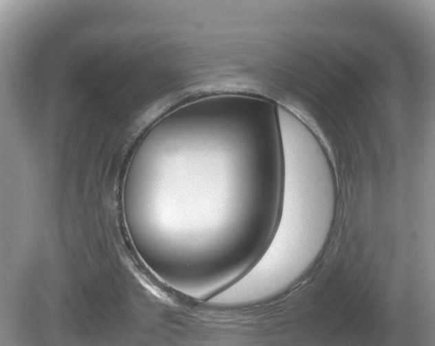 X0000082690389200701261000