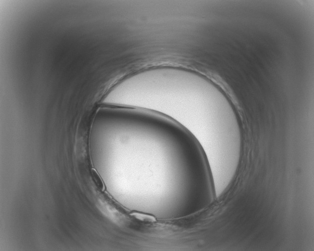 X0000082690393200701261000