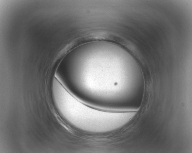 X0000082690397200701261000