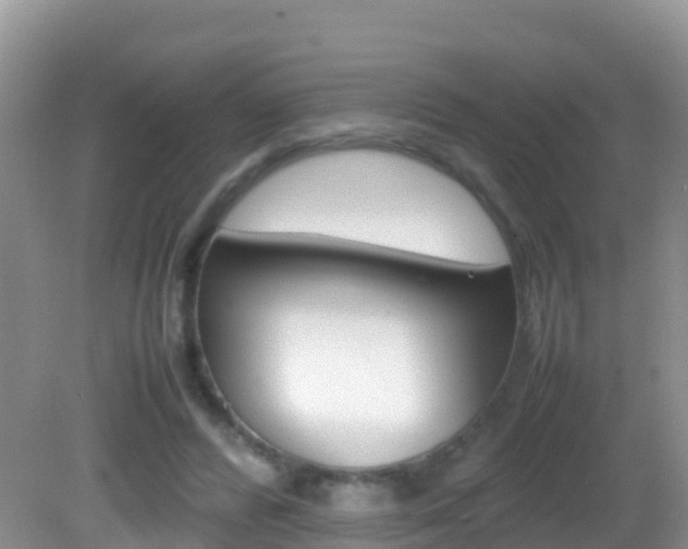 X0000082690400200701261000