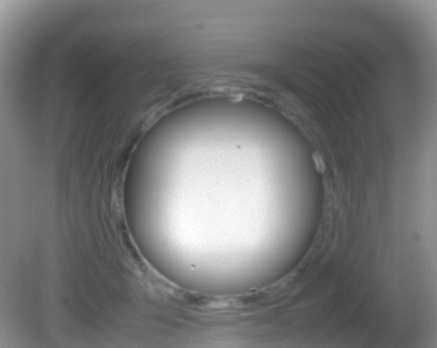 X0000082690415200701260959