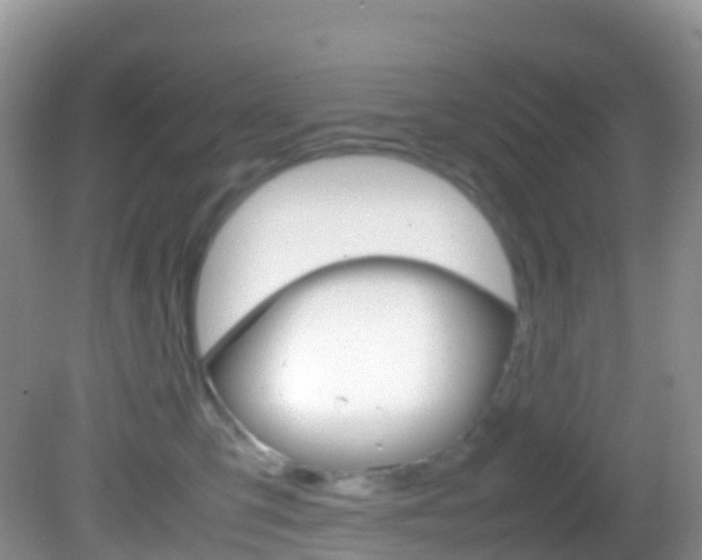 X0000082690423200701260959