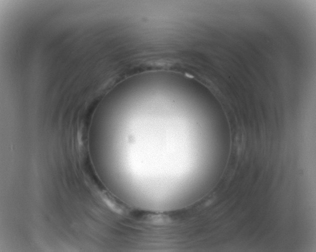 X0000082690424200701260959