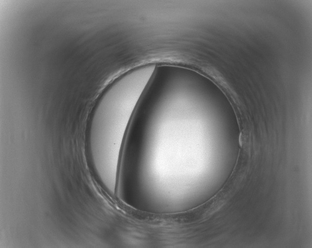 X0000082690434200701260958