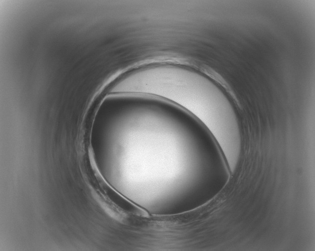 X0000082690436200701260958