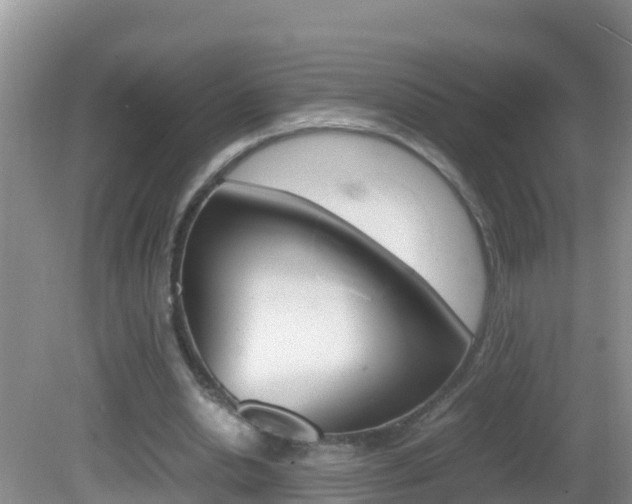 X0000082690438200701260958
