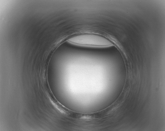 X0000082690441200701260959