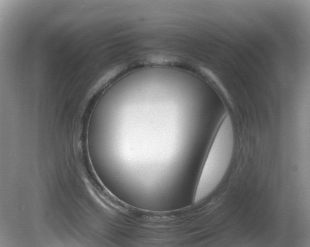 X0000082690443200701260959