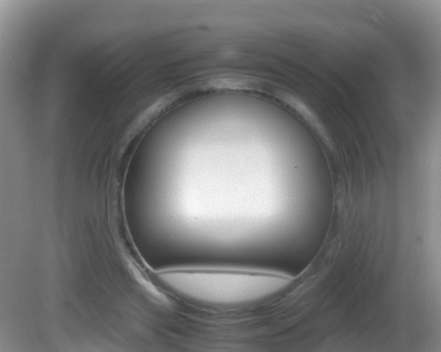X0000082690445200701260959