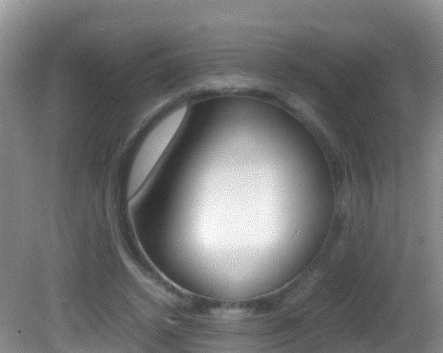 X0000082690448200701260959