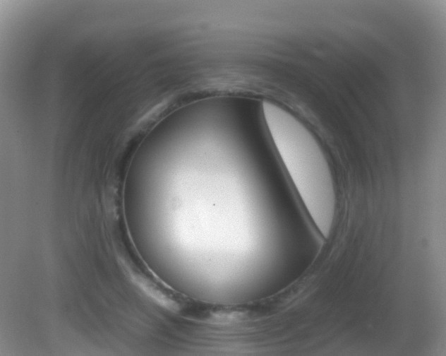 X0000082690450200701260959