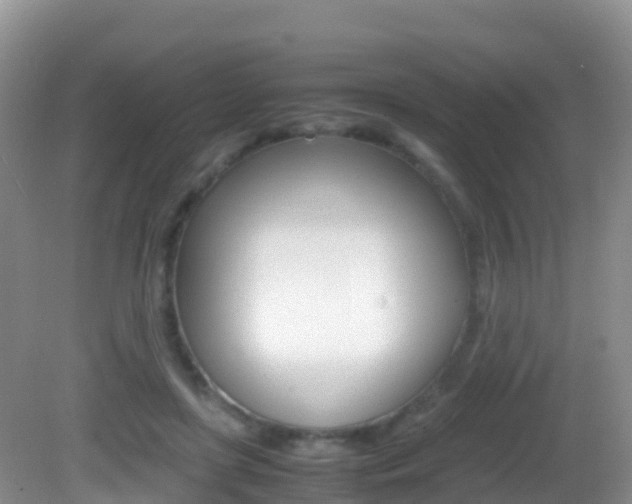 X0000082690451200701260959