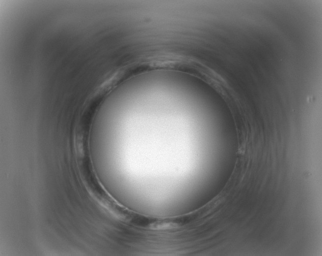 X0000082690452200701260959