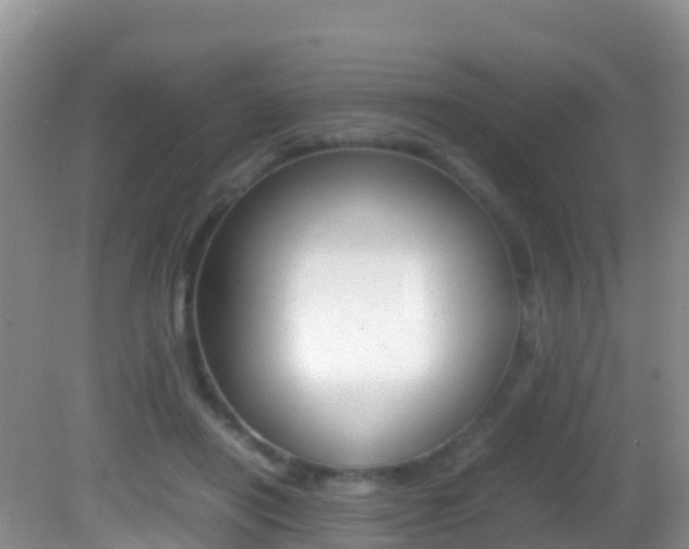 X0000082690454200701260959