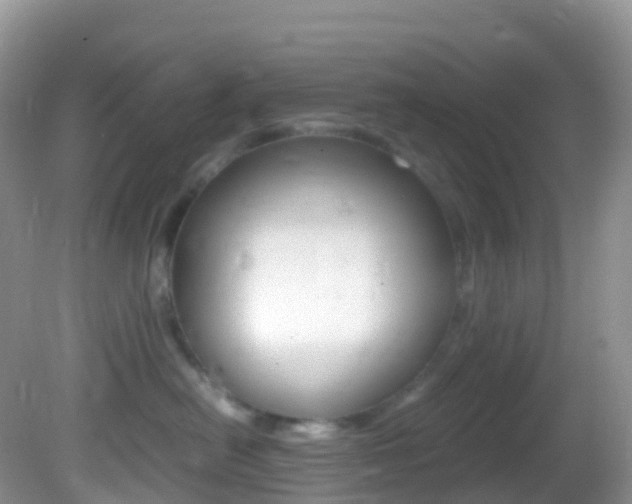 X0000082690478200701260959