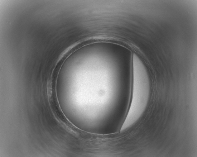 X0000082690484200701260958