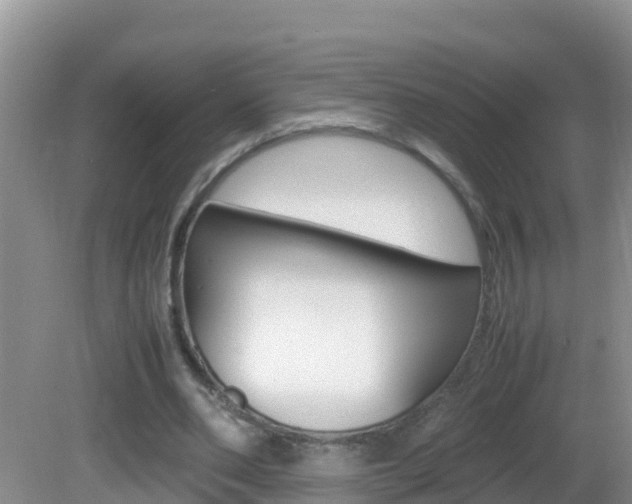 X0000082690486200701260958