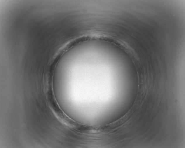 X0000082690496200701260958