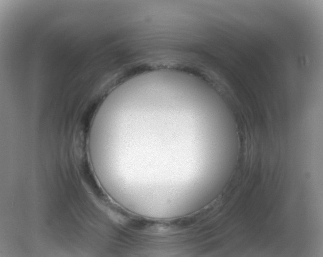 X0000082690498200701260958
