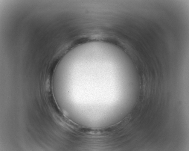 X0000082690502200701260958