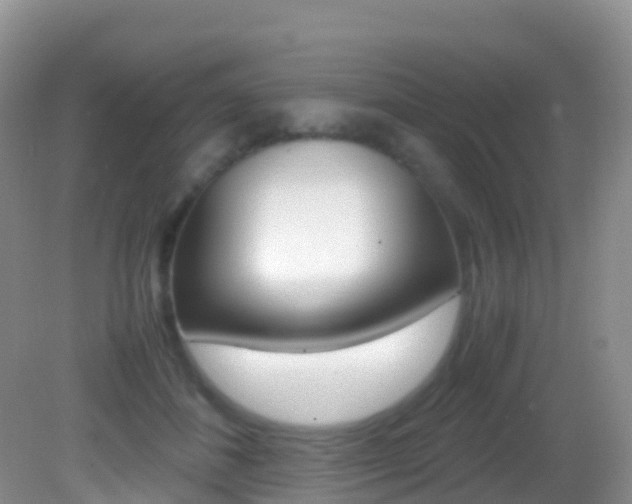 X0000082690508200701260958