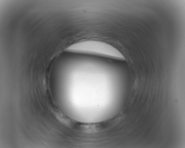 X0000082690524200701260958