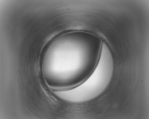 X0000082690532200701260957