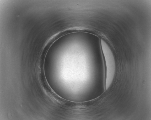X0000082690536200701260957