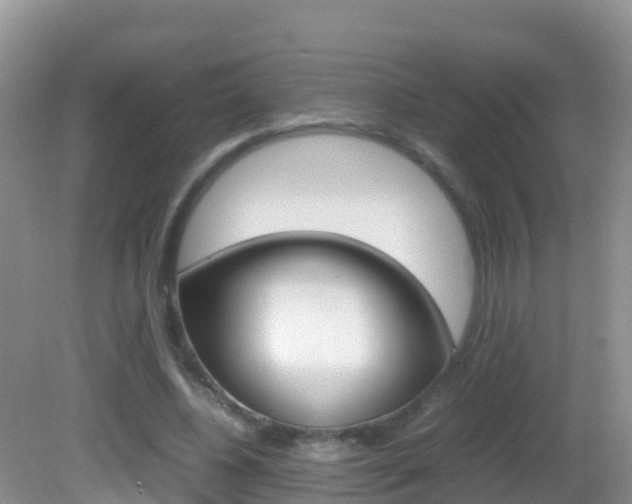 X0000082690540200701260957