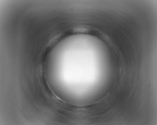 X0000082690551200701260957