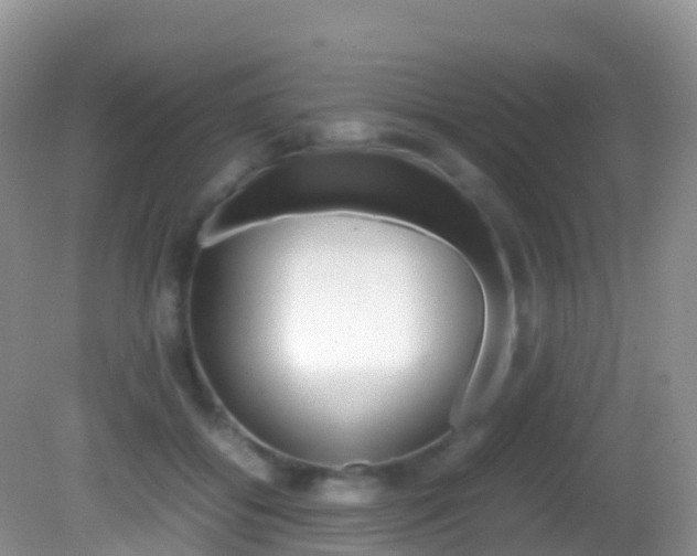 X0000082690556200701260957