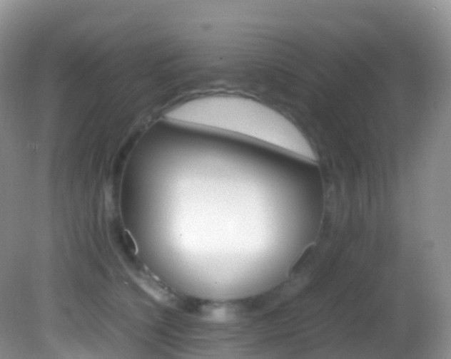 X0000082690564200701260957
