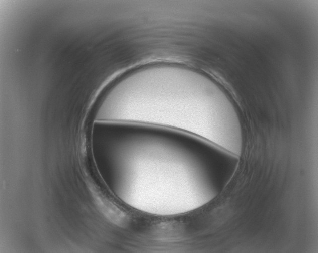 X0000082690584200701260957