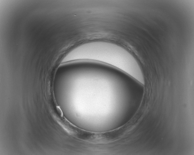 X0000082690589200701260957