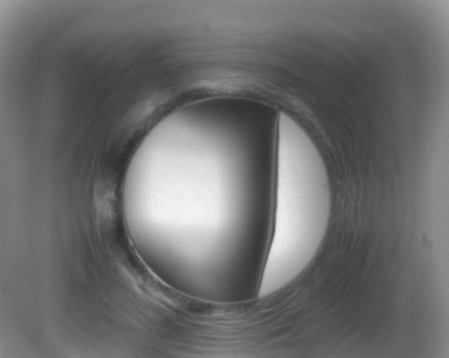 X0000082690596200701260956
