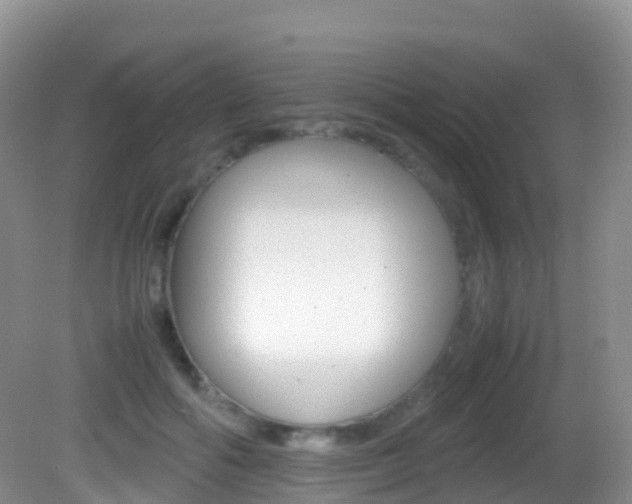 X0000082690602200701260956